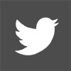 Twitter icon
